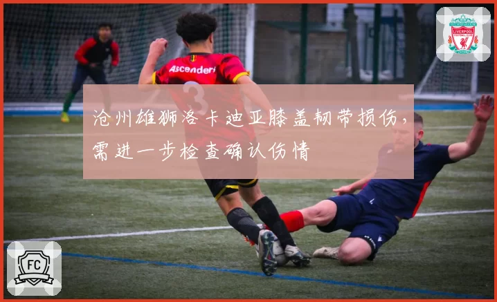 沧州雄狮洛卡迪亚膝盖韧带损伤,需进一步检查确认伤情
