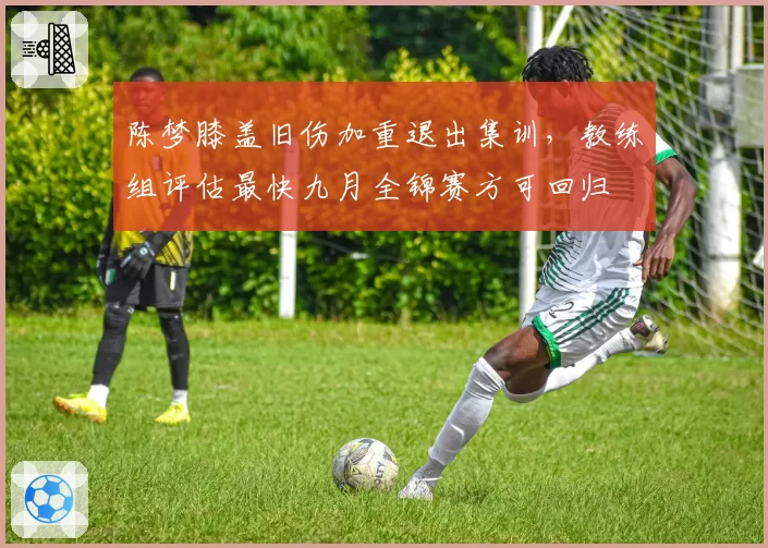 陈梦膝盖旧伤加重退出集训,教练组评估最快九月全锦赛方可回归