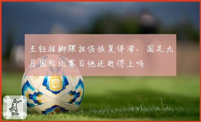 王钰栋脚踝扭伤恢复停滞,国足九月国际比赛日他还赶得上吗