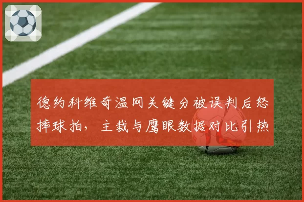 德约科维奇温网关键分被误判后怒摔球拍，主裁与鹰眼数据对比引热议